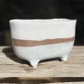 concrete bowl planter on legs