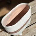 concrete bowl planter on legs