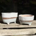 concrete bowl planter on legs
