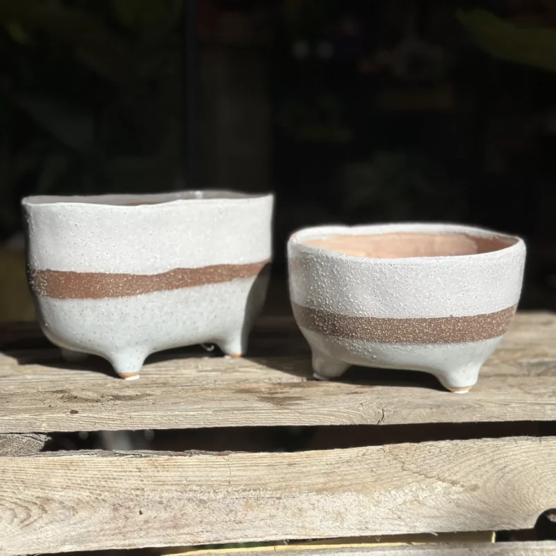 concrete bowl planter on legs