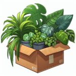 15 Spider Plants and 10 Pothos for Gee