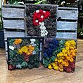IMG_9571