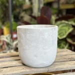 Classic Concrete Industrial Planter For 15cm pots