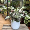 retro glazed blue pot with ears 11cm