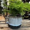 retro glazed blue pot with ears 11cm