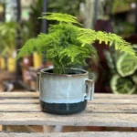 Retro Glazed Blue Pot With Ears 11cm