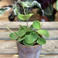 retro glazed blue pot with ears 11cm