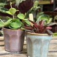 retro glazed blue pot with ears 11cm