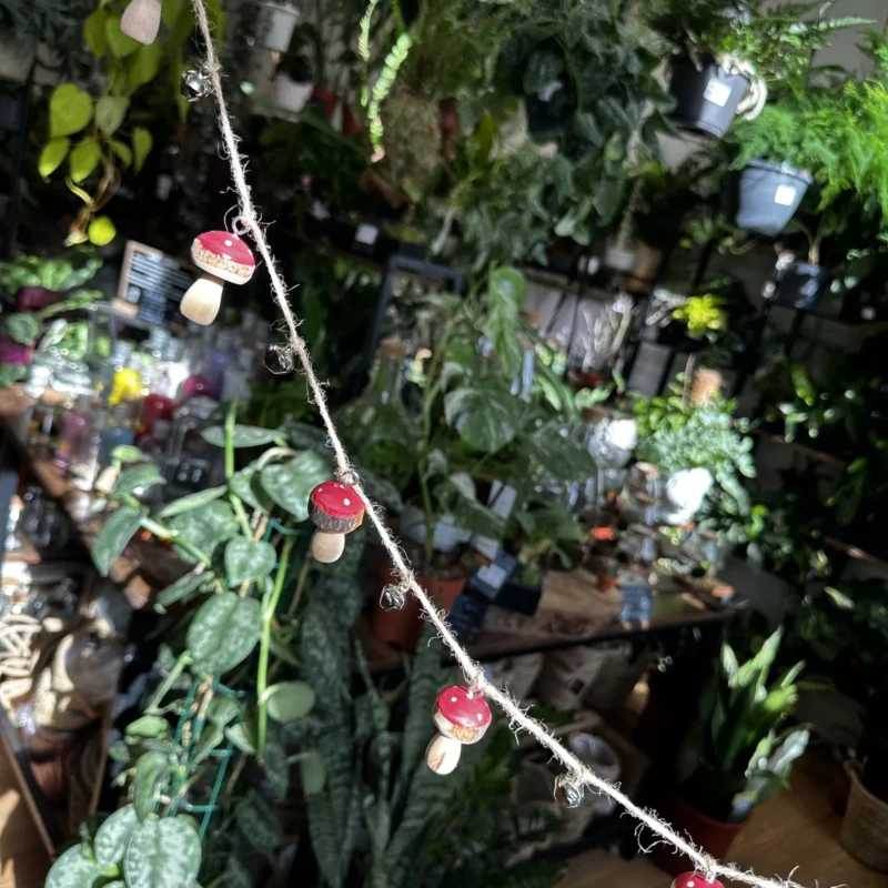 brown toadstool mushrooms 5pcs craft and art (copy) brown toadstool mushrooms 5pcs craft and art (copy)