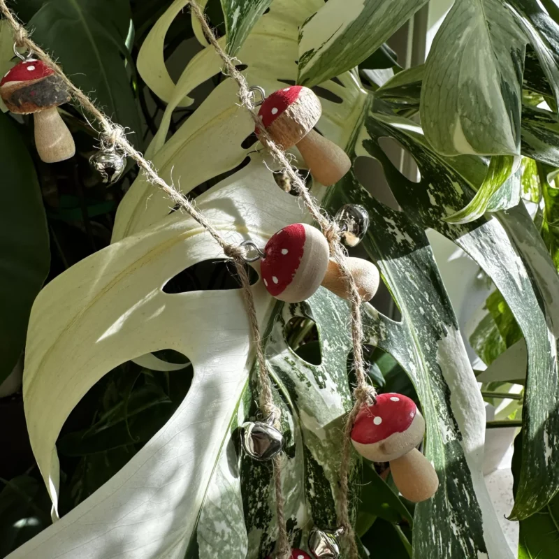 brown toadstool mushrooms 5pcs craft and art (copy) brown toadstool mushrooms 5pcs craft and art (copy)