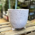 img 0567