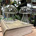 glass mushroom shape vase propagation station