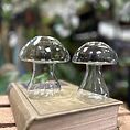 glass mushroom shape vase propagation station