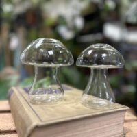 glass mushroom shape vase propagation station