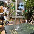 glass mushroom shape vase propagation station