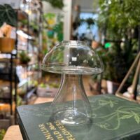 glass mushroom shape vase propagation station