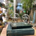 glass mushroom shape vase propagation station