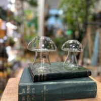 glass mushroom shape vase propagation station