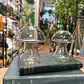 glass mushroom shape vase propagation station