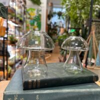 glass mushroom shape vase propagation station