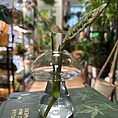 glass mushroom shape vase propagation station