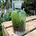 vintage lab glass bottle with stopper