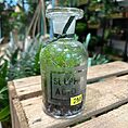 vintage lab glass bottle with stopper