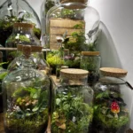 Private Terrarium H27 workshop 15/03/24 5pax