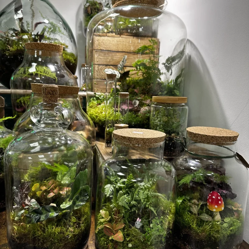 terrariums
