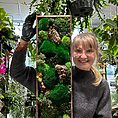 IMG_1879