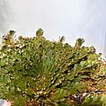 IMG_2738