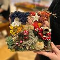 IMG_3661