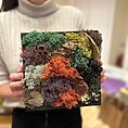 IMG_3667