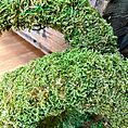 IMG_3983-EDIT