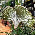 IMG_4014-EDIT