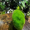 IMG_4167