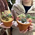 IMG_8518