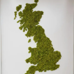 Moss Art Map DHL Bristol