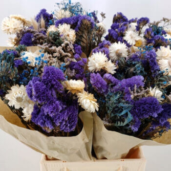 Dried Natural Flowers Rustic Bouquet BLUE-WHITE Dried Flowers dried 2