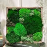 Handmade Preserved Moss Wall Art Simple Green