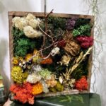 Handmade Preserved Moss Wall Art Scottish Field