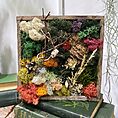 IMG_4287