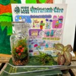 Limited Edition: Vintage Lab Jar Terrarium Kit