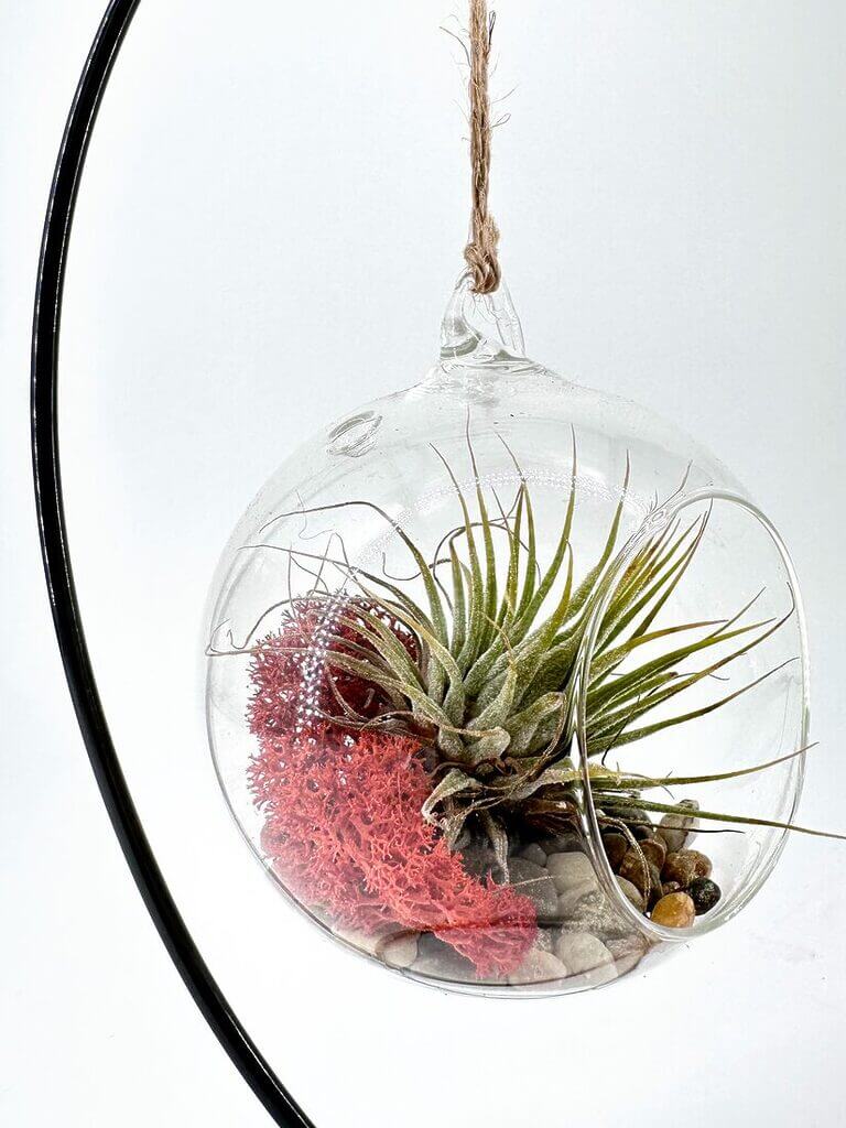 Gift Ideas