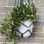 Handmade Macrame Plant Hanger Adjustable