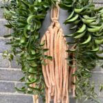 Handmade Macrame Plant Hanger Boho Fringe