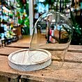 IMG_6598-EDIT