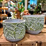 Monstera and Fern Jungle Leaf Design Concrete Planter