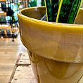 IMG_6787-EDIT
