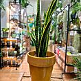 IMG_6788-EDIT